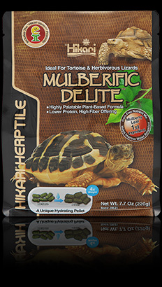 MULBERIFIC DELITE