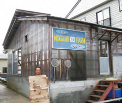 NOGAMI KOI FARM-image1