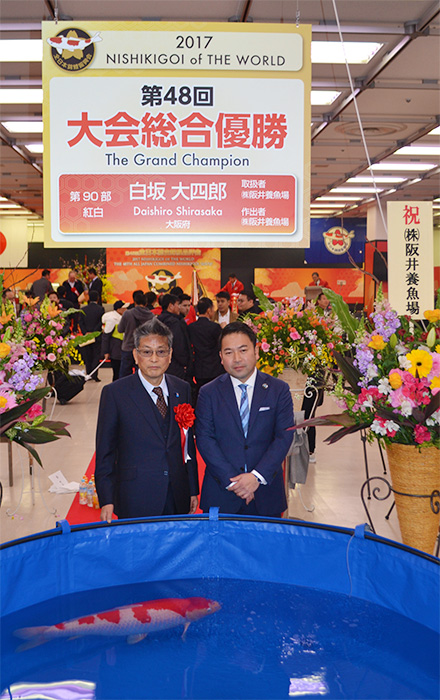 Grand Champion All Japan Combined Nishikigoi Show in January 2017