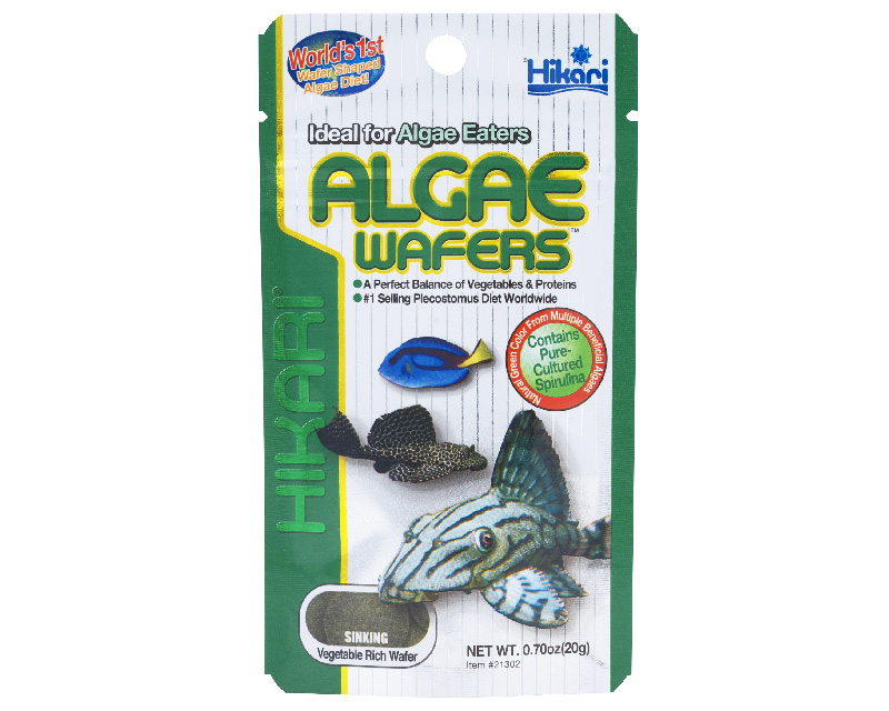 Hikari Tropical ALGAE WAFERS 0.7 oz (20g)