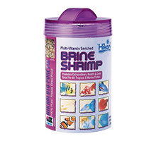 Hikari Bio-Pure FD BRINE SHRIMP