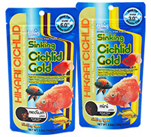 Hikari Cichlid Cichlid Gold Sinking